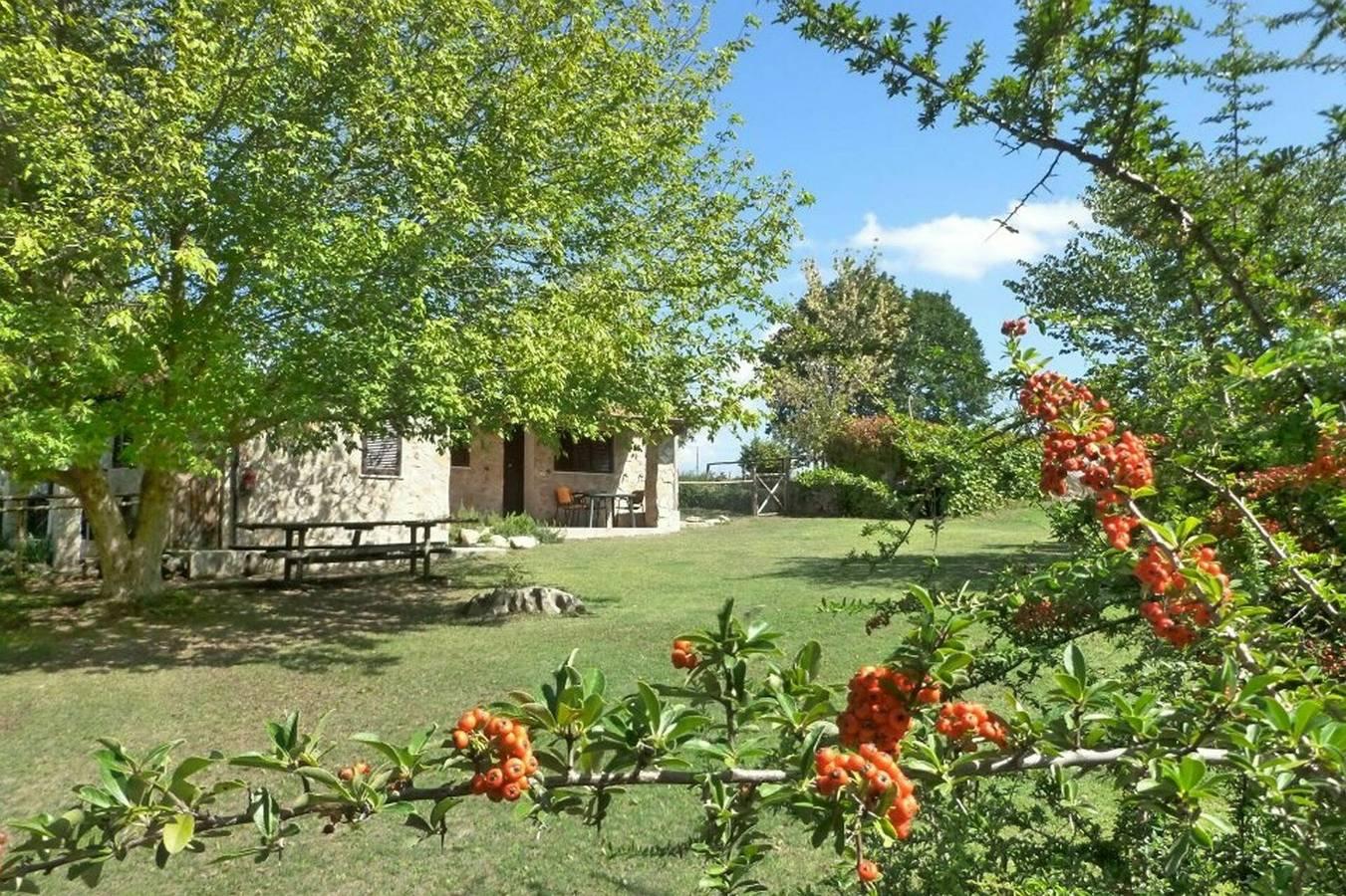 Vakantiehuis in Tuscia, Italië voor 7 personen foto 3