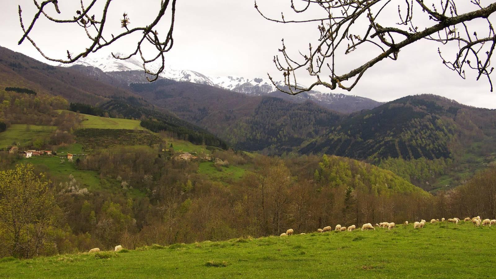 Gîte d'Elie in Freychenet, Ariège, Frankrijk voor 2 personen foto 22