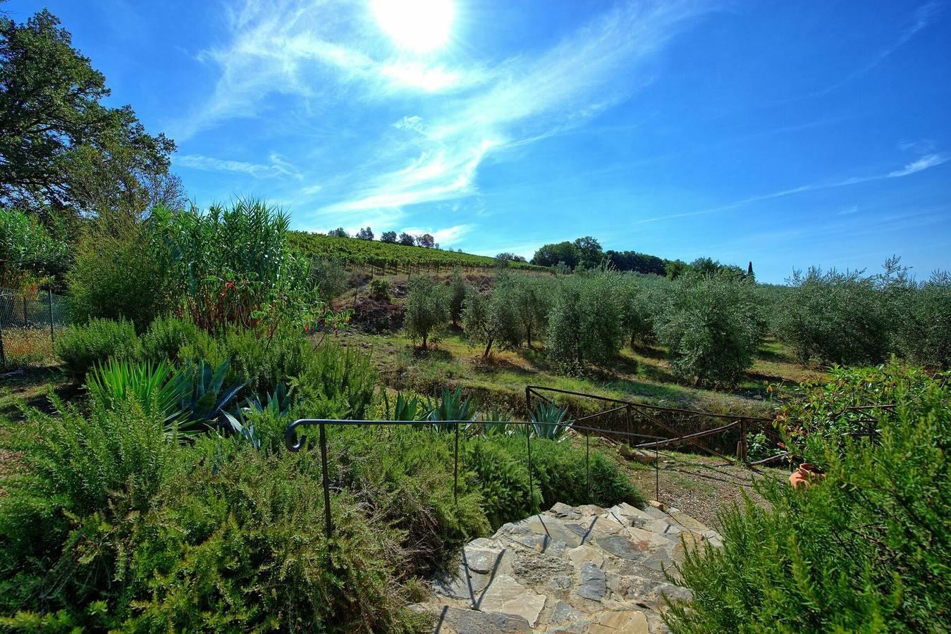 Casa Maria Luisa in Villa A Sesta, Castelnuovo Berardenga (Comune), Italië voor 4 personen foto 20