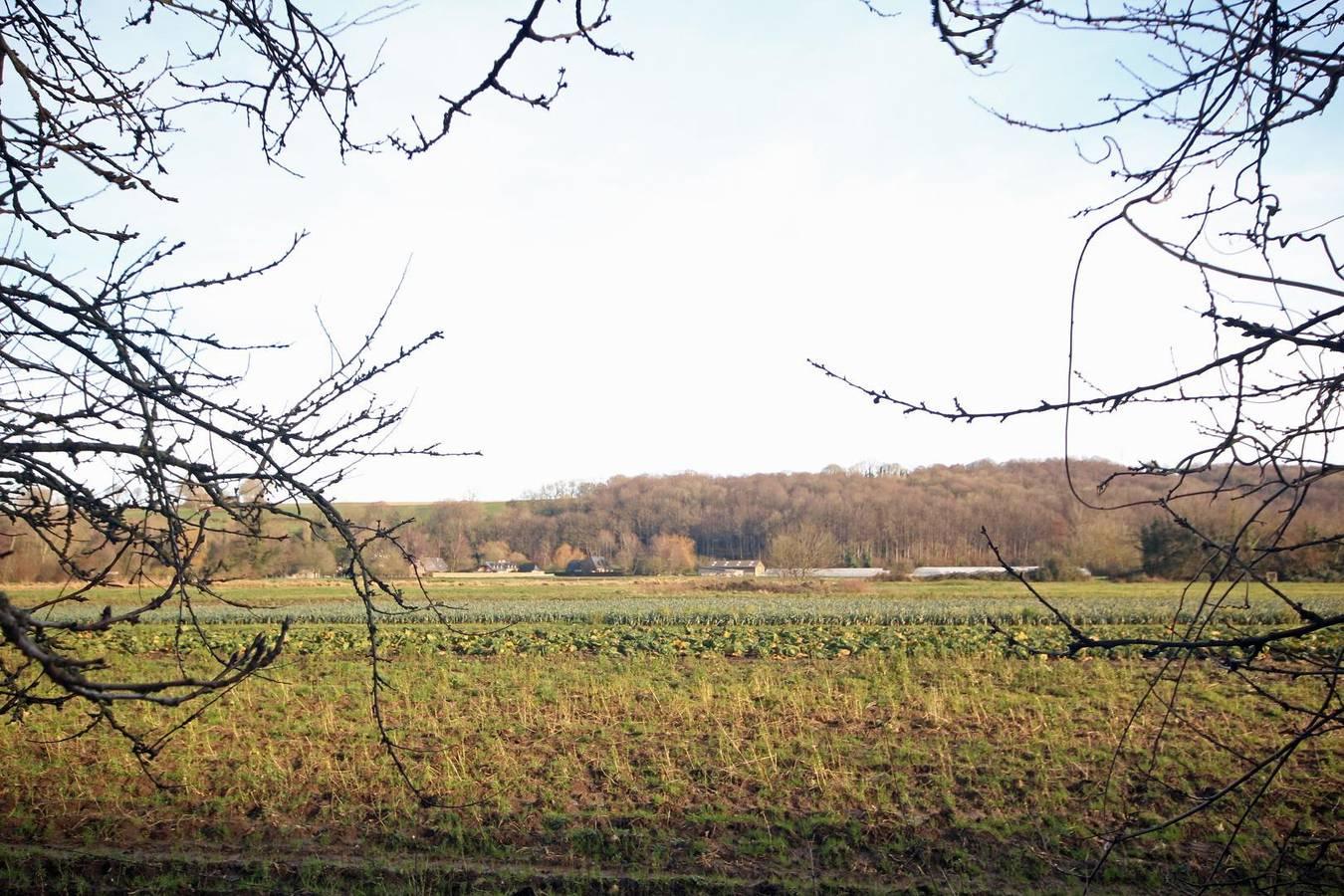 Vakantiehuis in Vittefleur, Frankrijk voor 8 personen foto 17