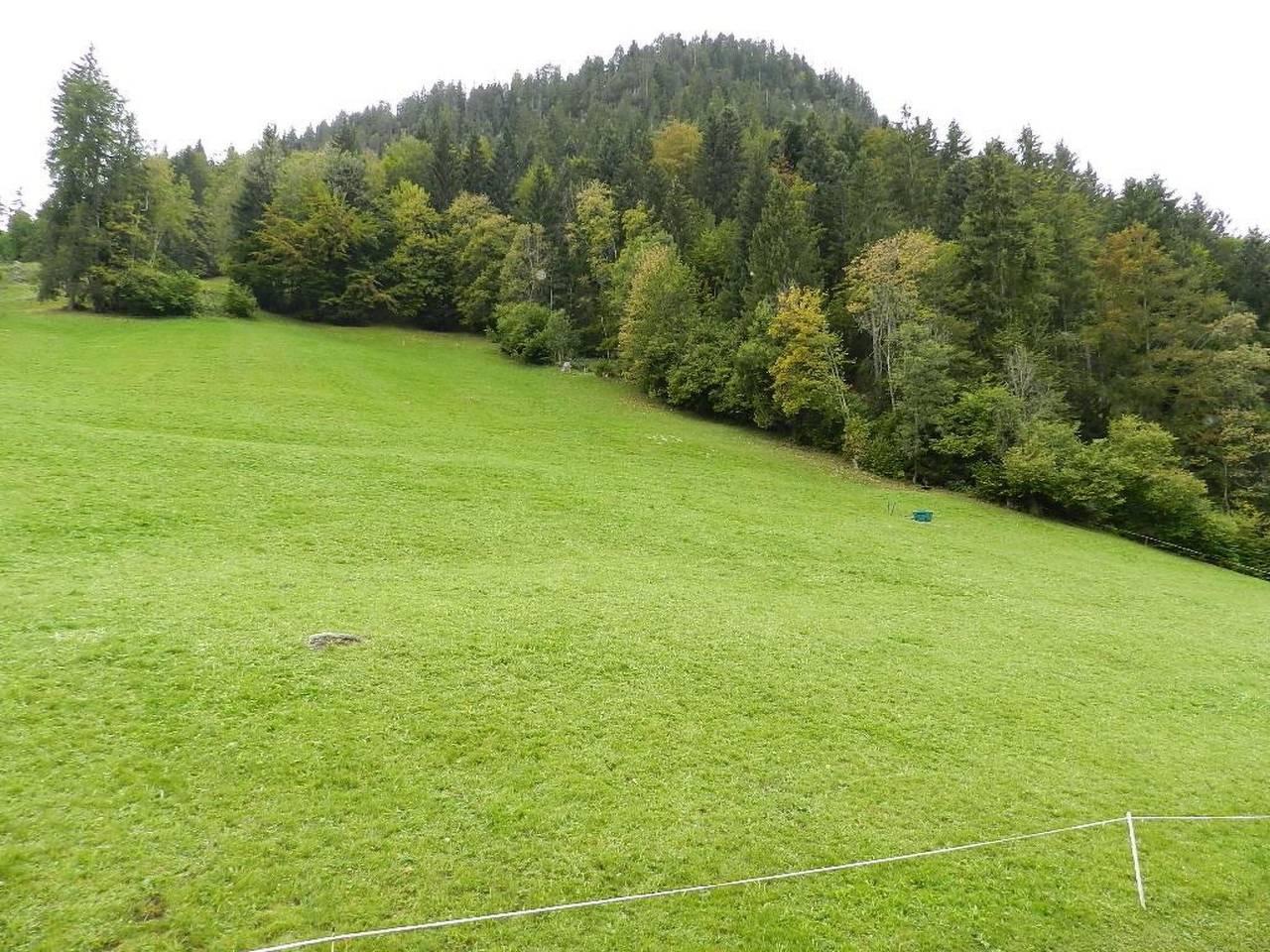 Hornflue (Baumann) in Saanenmöser, Saanen, Zwitserland voor 4 personen foto 13