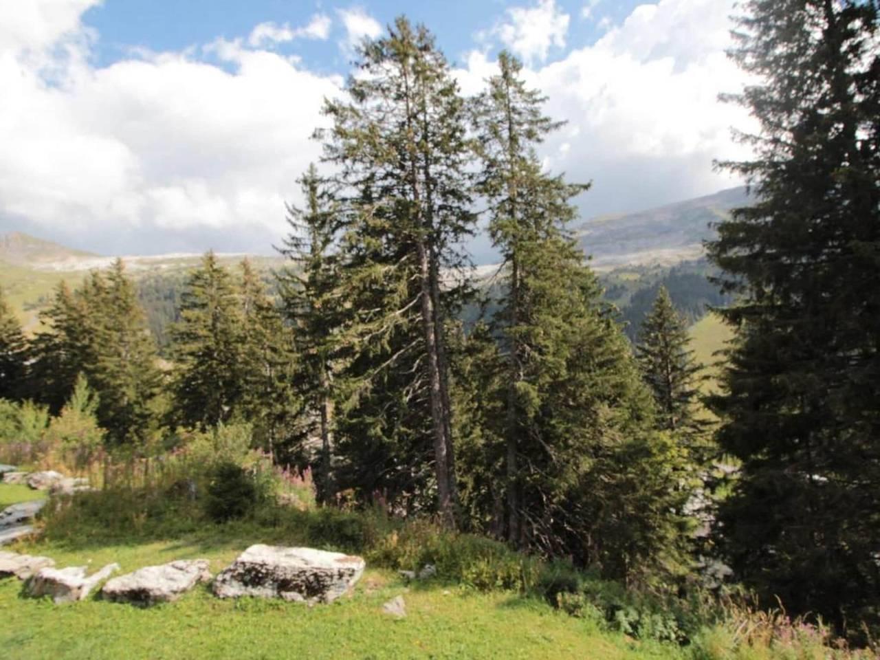 Appartement in Flaine met Skilift in Les Carroz, Arâches-la-Frasse, Frankrijk voor 4 personen foto 25