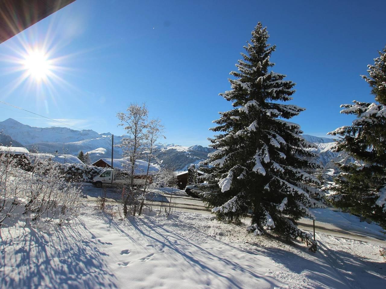 Vakantieappartement in Lenk, Zwitserland voor 10 personen foto 12