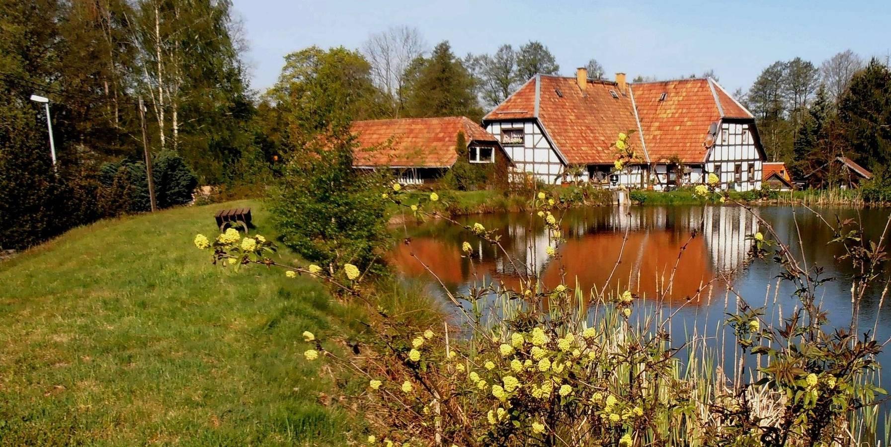 Vakantieappartement in Vogtland, Duitsland voor 4 personen foto 15