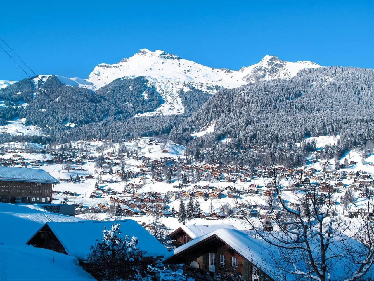 Vakantieappartement in Grindelwald, Zwitserland voor 4 personen foto 14