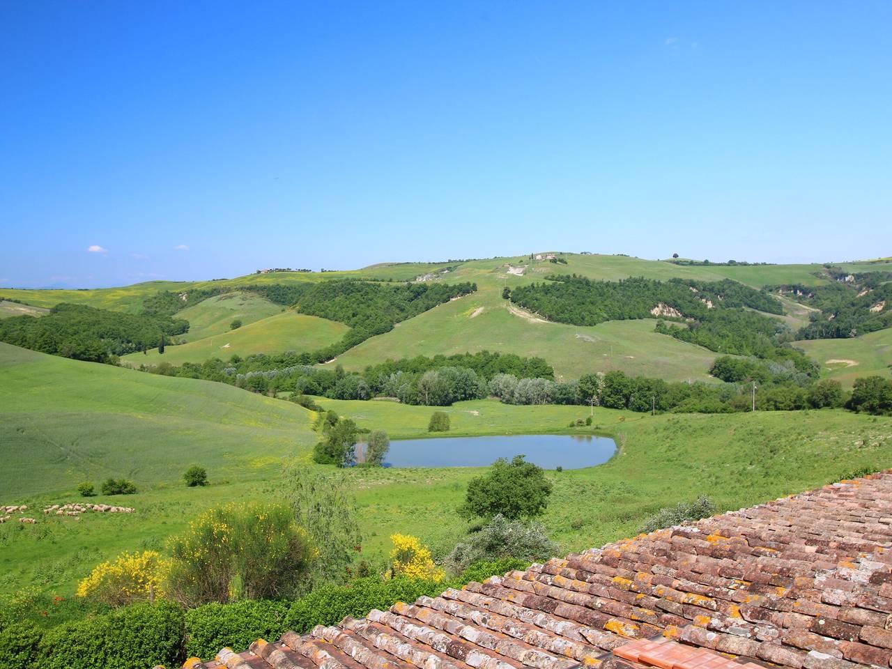 Boerderij in San Giovanni d'Asso, Montalcino, Italië voor 4 personen foto 24