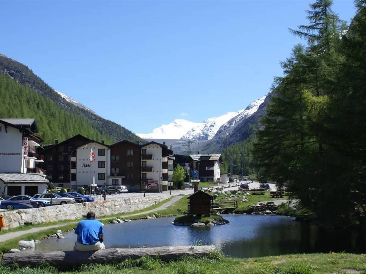 Vakantieappartement in Saas-Almagell, Zwitserland voor 11 personen foto 5