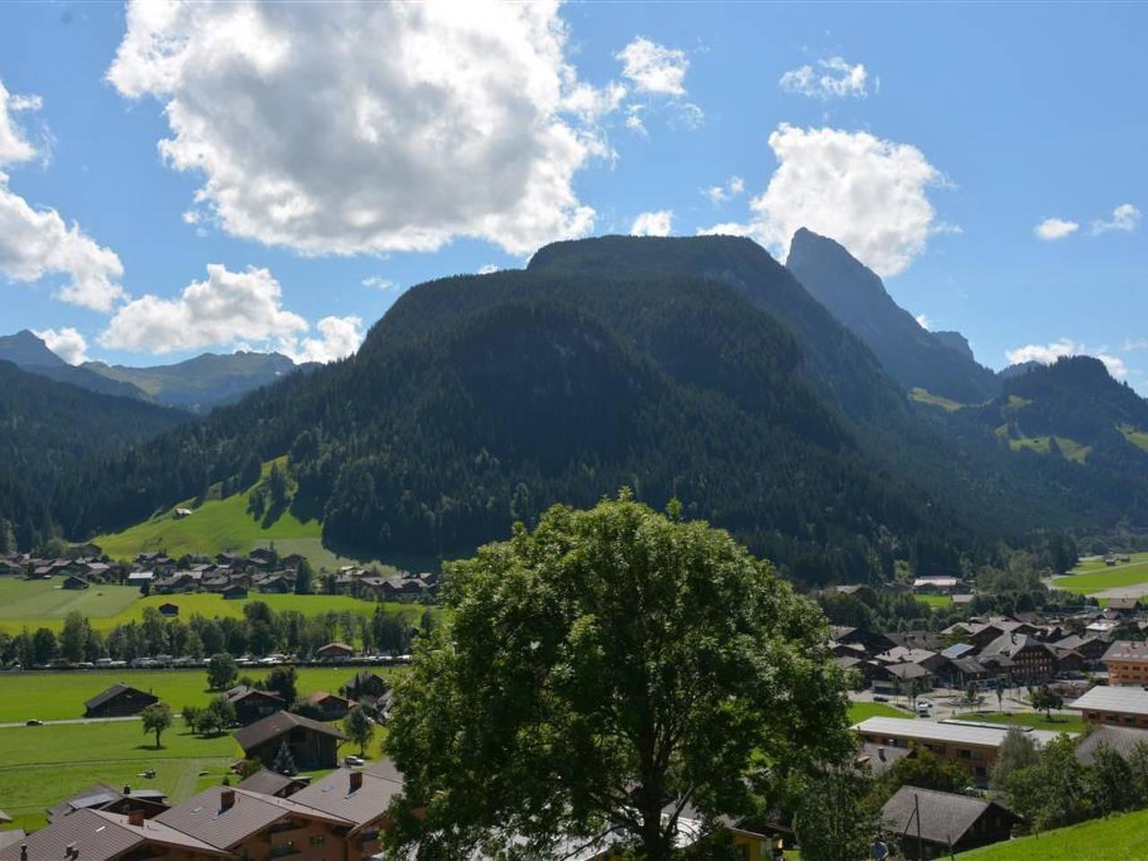 Vakantieappartement in Saanen, Zwitserland voor 4 personen foto 6