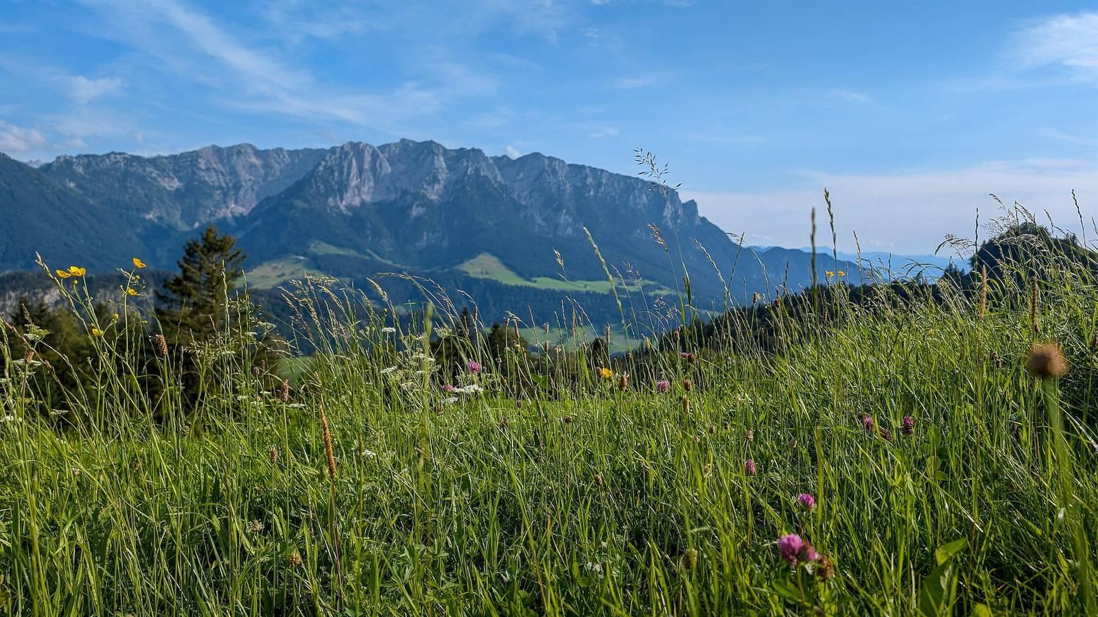 Appartement, douche of bad, 2 slaapkamers in Rettenschöss, Kaisergebirge, Oostenrijk voor 4 personen foto 24