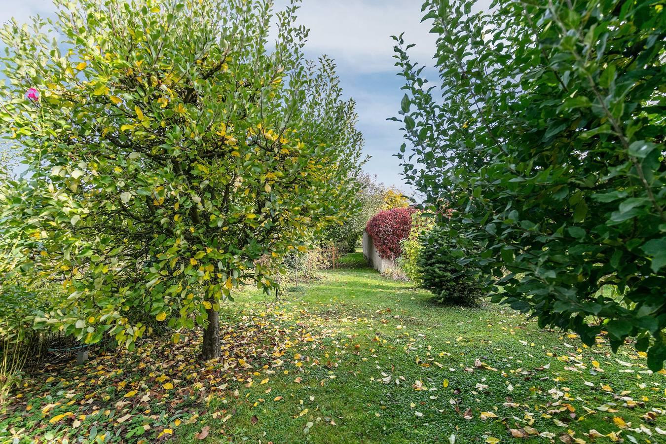 Vakantiewoning 'Im Blumengarten' met wifi, terras & tuin in Schmargendorf, Angermünde, Duitsland voor 5 personen foto 23