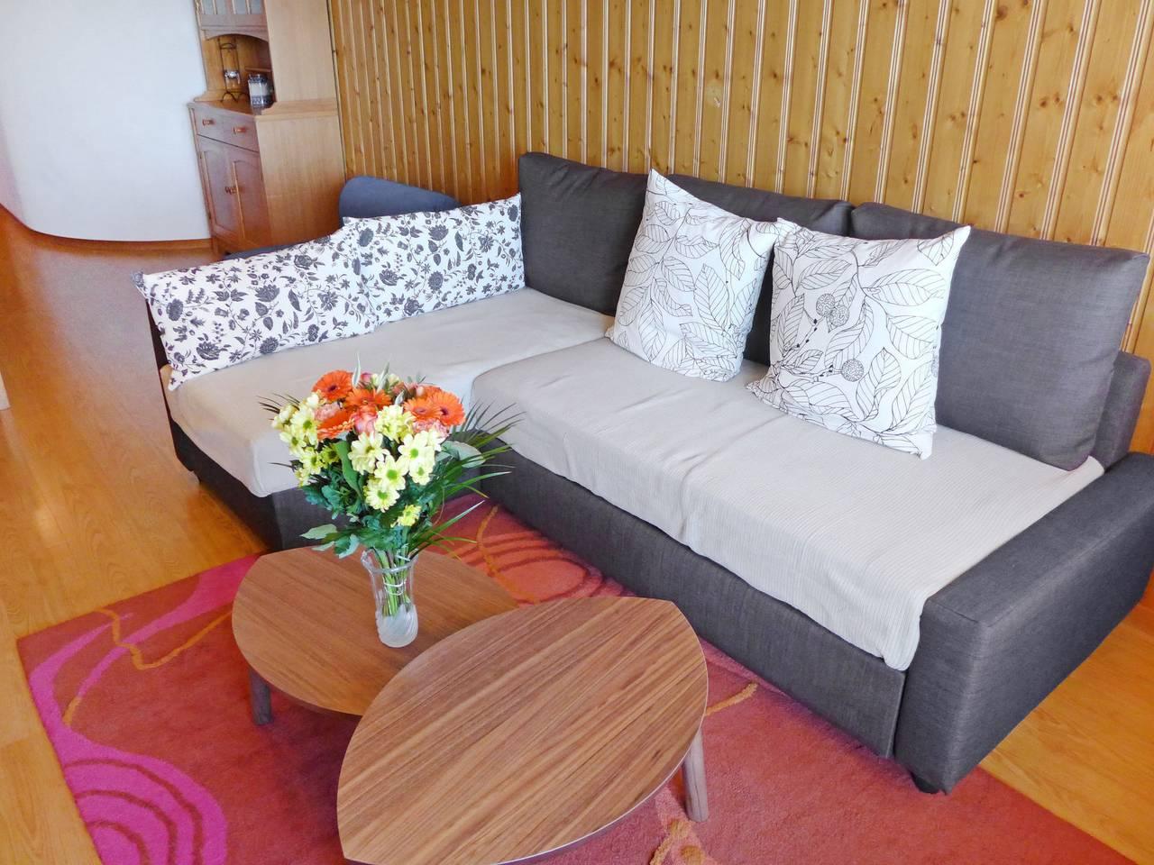 Vakantieappartement in Three-Lakes, Zwitserland voor 3 personen foto 9