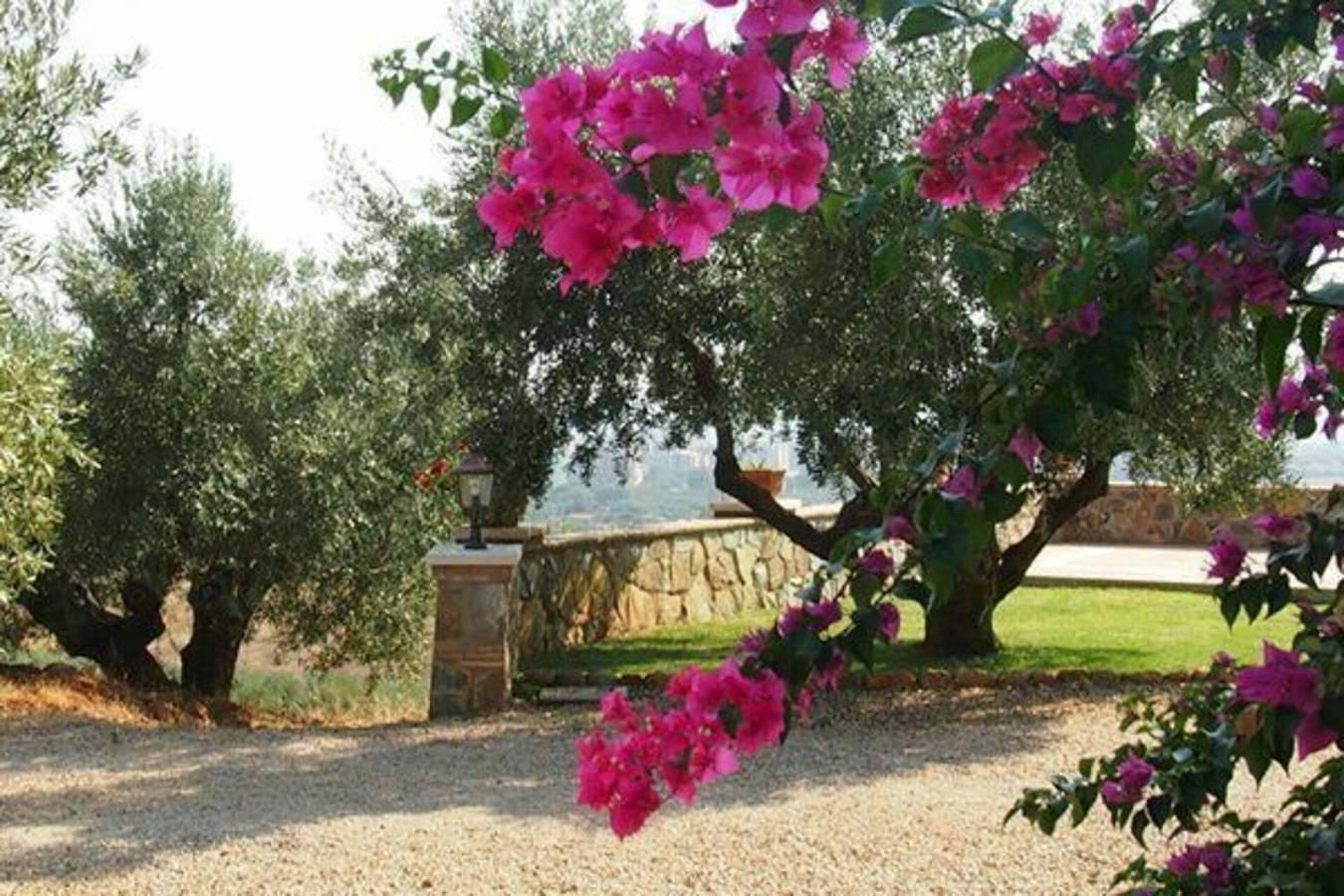 Vakantieappartement in Maremma, Italië voor 6 personen foto 15