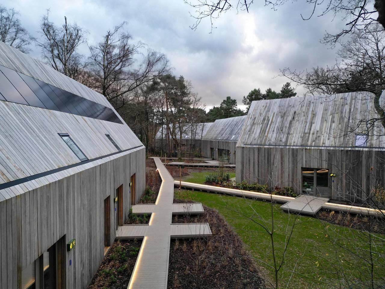 Woodz Lodges — Lodge in Heusden-Zolder, België voor 6 personen foto 21
