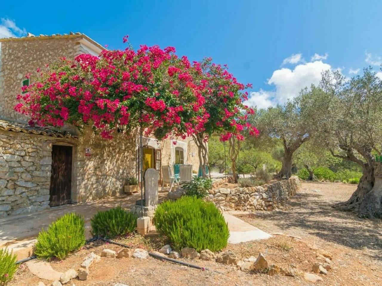 Vakantiehuis in Andratx, Spanje voor 4 personen foto 2