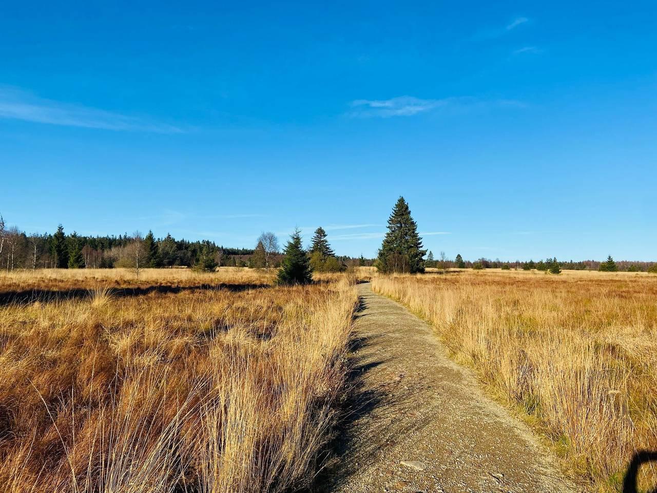 Gezinsresort met wellness in het hart van Ardennen in Malmedy, Natuurgebied Hautes Fagnes, België voor 6 personen foto 23