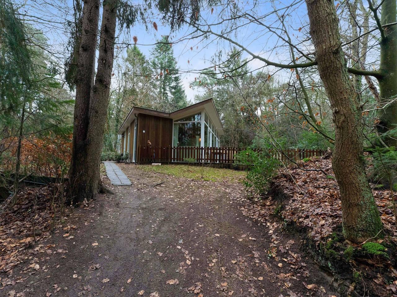 Boswoning in Norg met eigen sauna in Drenthe, Nederland voor 6 personen foto 24