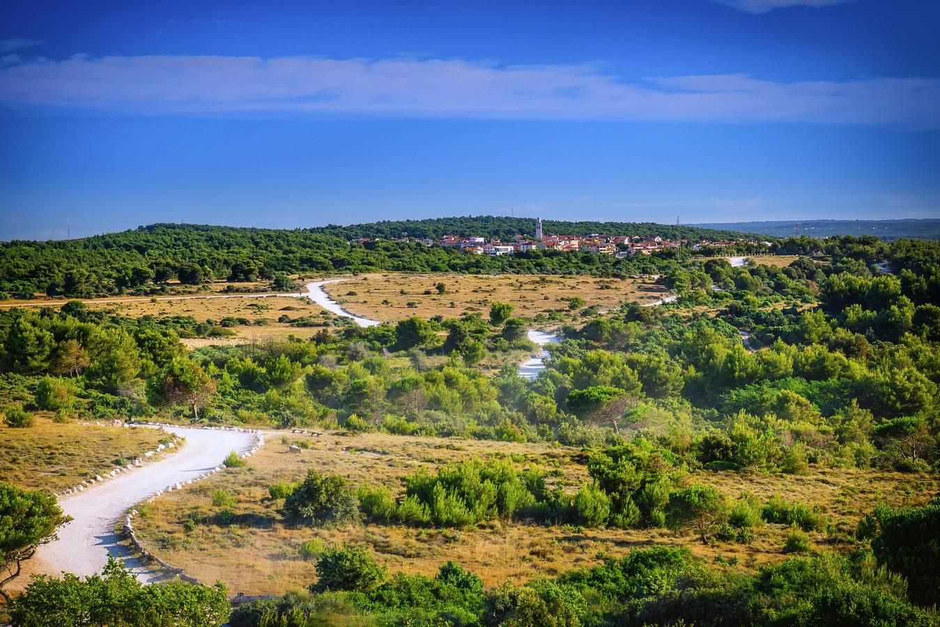 Vakantieappartement met eigen balkon in Premantura in Podlokva, Premantura, Kroatië voor 4 personen foto 20