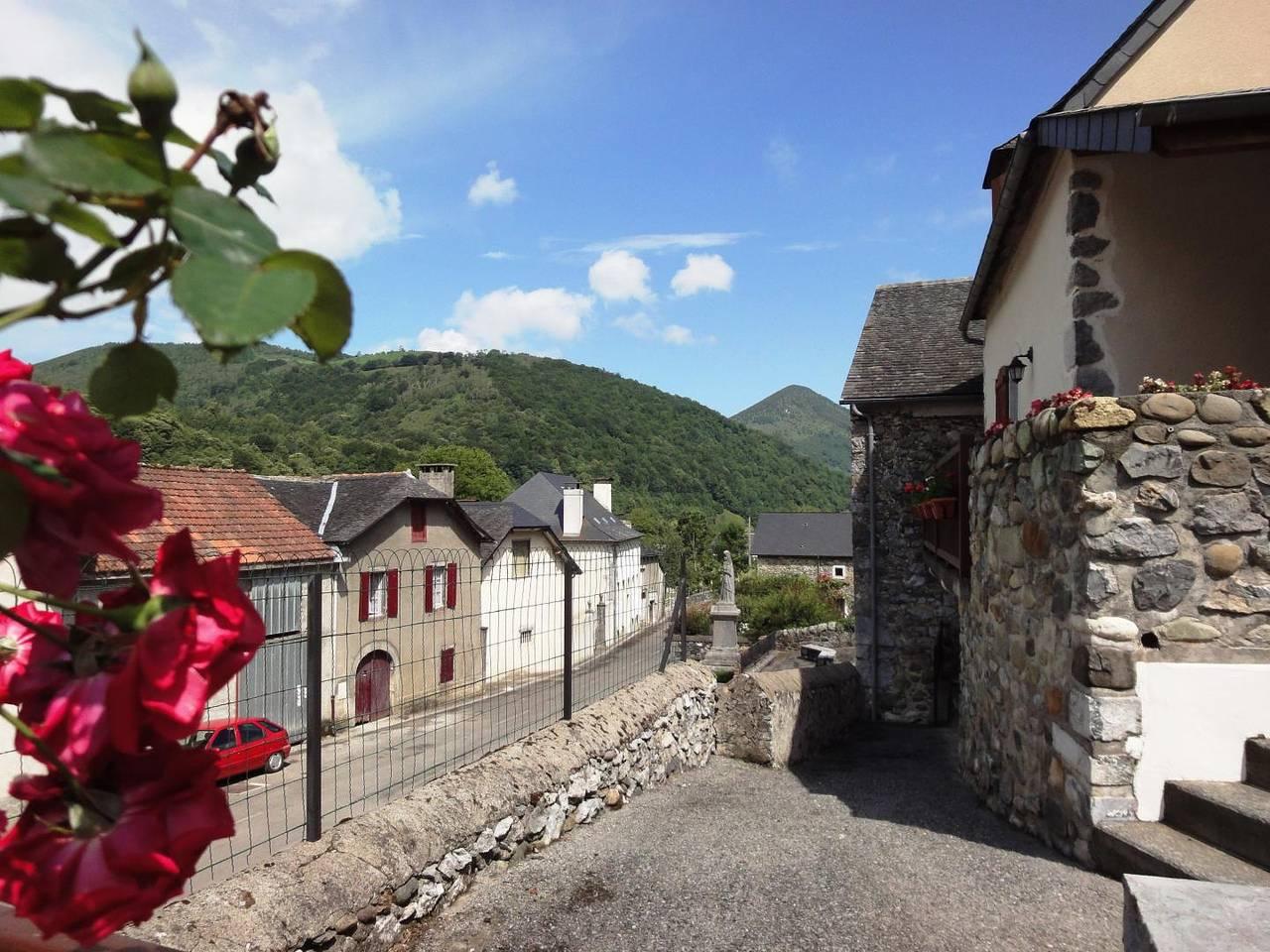 Roumendares in Escot, Béarn, Frankrijk voor 4 personen foto 19