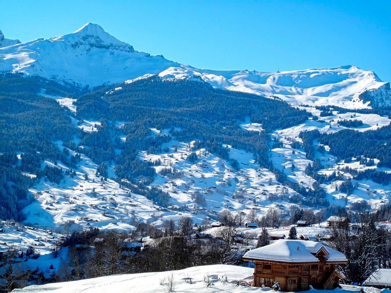 Chalet Marie Rosa in Schwendi b. Grindelwald, Grindelwald, Zwitserland voor 4 personen foto 19
