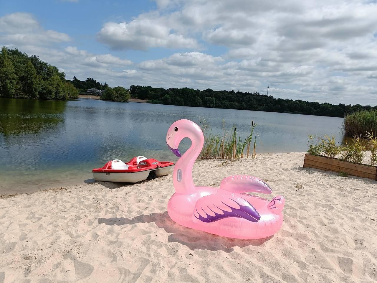 Droomvilla Vakantiehuizen — Watervilla Plas van Francke in Twente, Nederland voor 6 personen foto 22