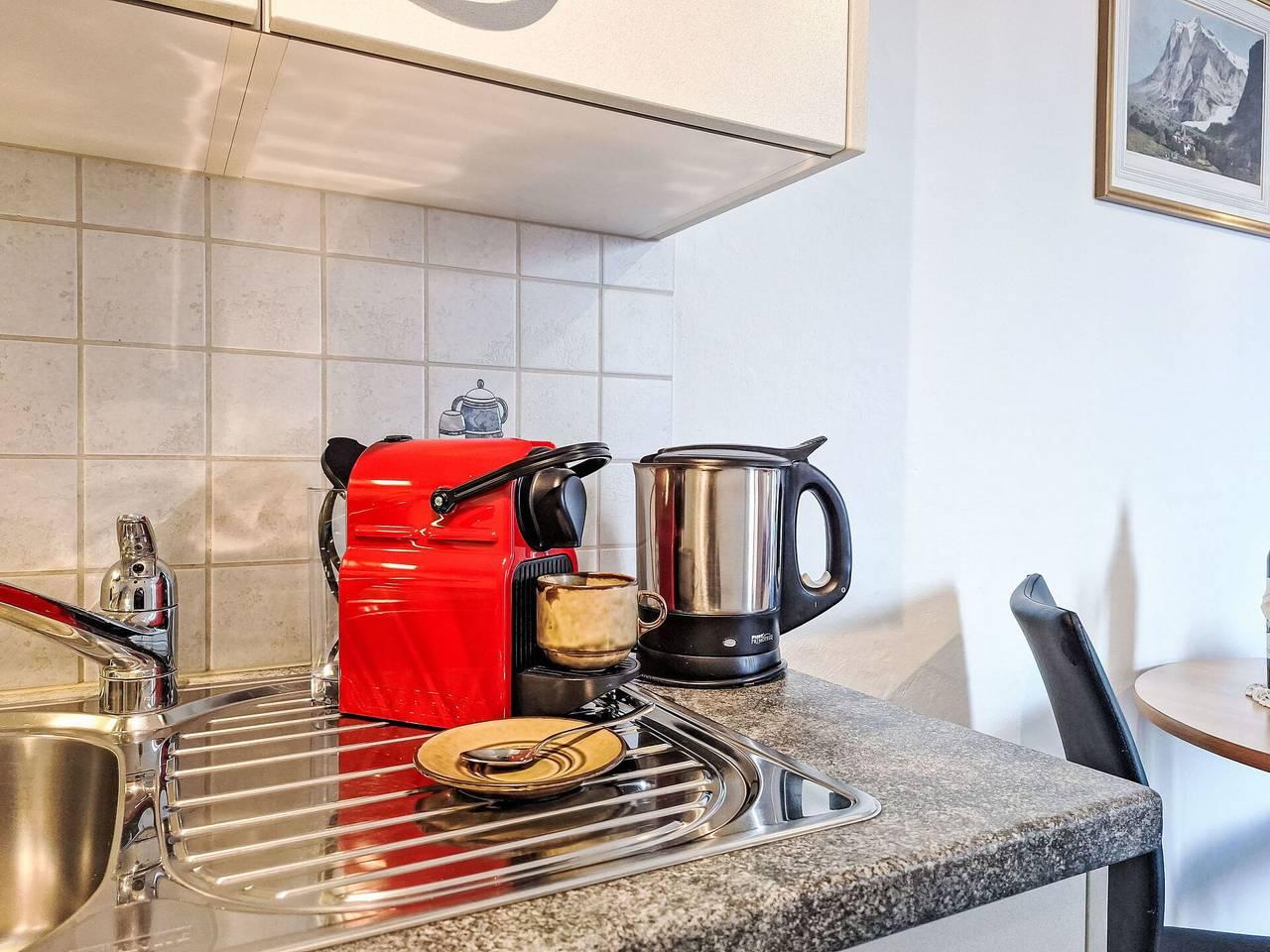 Vakantieappartement in Grindelwald, Zwitserland voor 2 personen foto 16