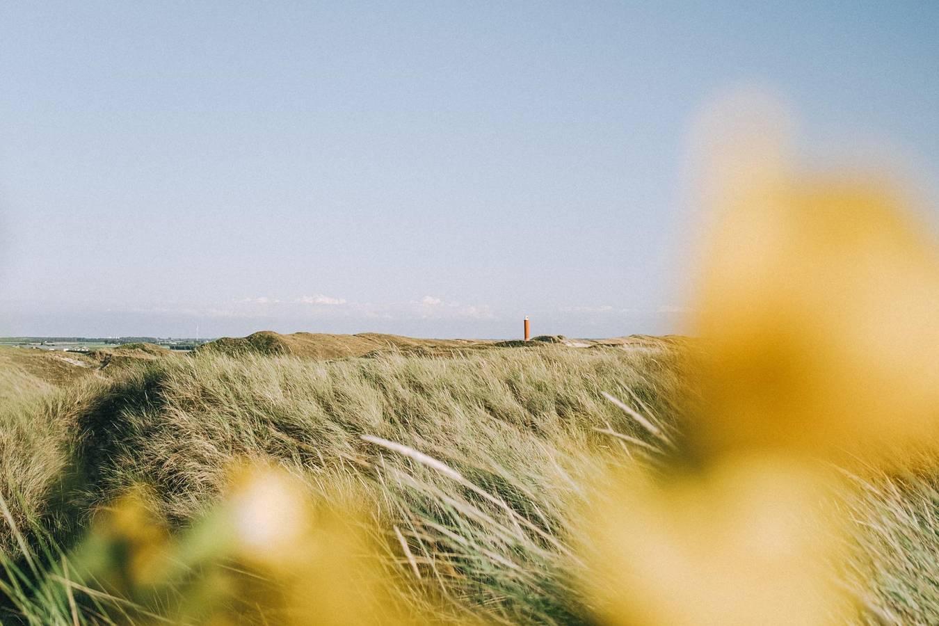 Vrijheid aan de kust — Beachstudio in Callantsoog, Noord-Holland - Kust van de Noordzee, Nederland voor 2 personen foto 23