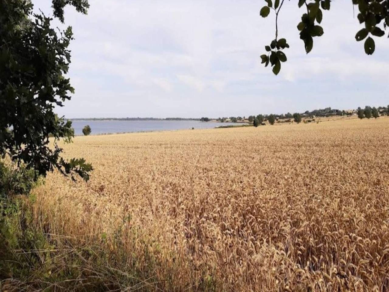 Vakantiehuis in Ærø, Denemarken voor 3 personen foto 13