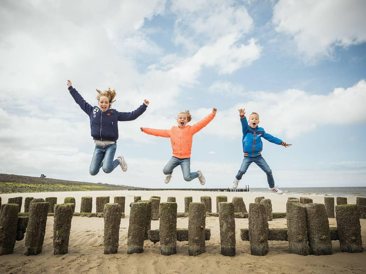 Tiny House in Nieuwvliet, Zeeuwse Kust, Nederland voor 4 personen foto 24