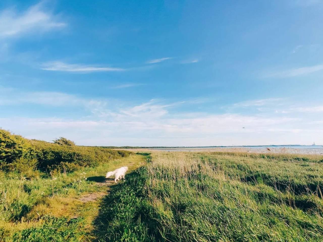Luxe retraite met zwembad in Over Dråby Strand, Denemarken voor 16 personen foto 23