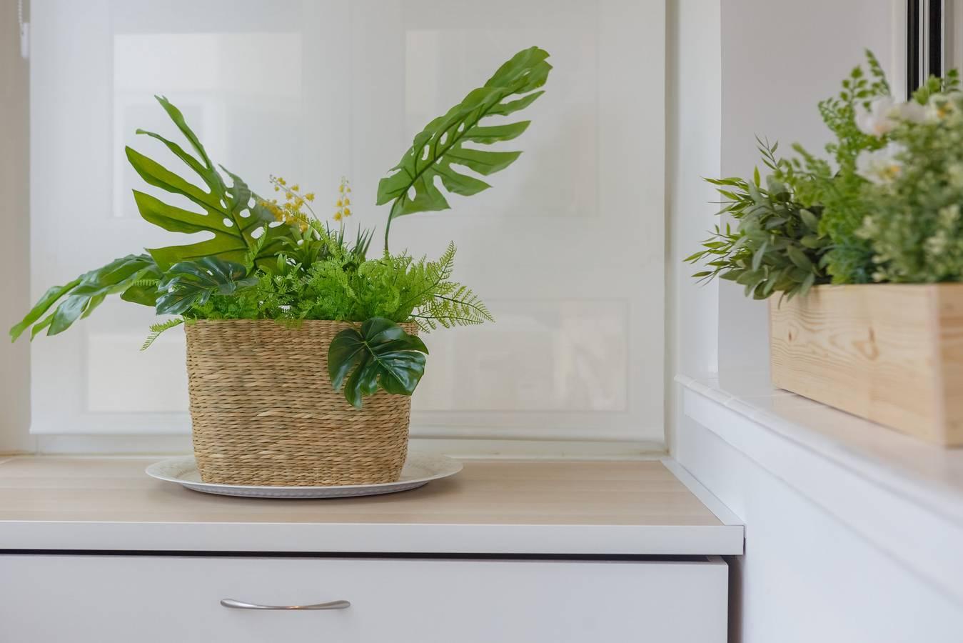 Vakantieappartement in Cádiz, Spanje voor 6 personen foto 13
