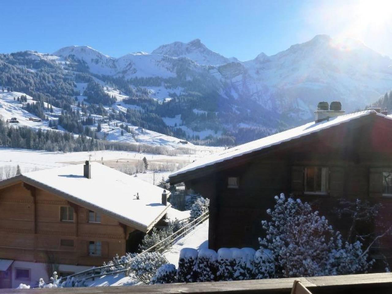 Vakantieappartement in Lauenen, Zwitserland voor 4 personen foto 4
