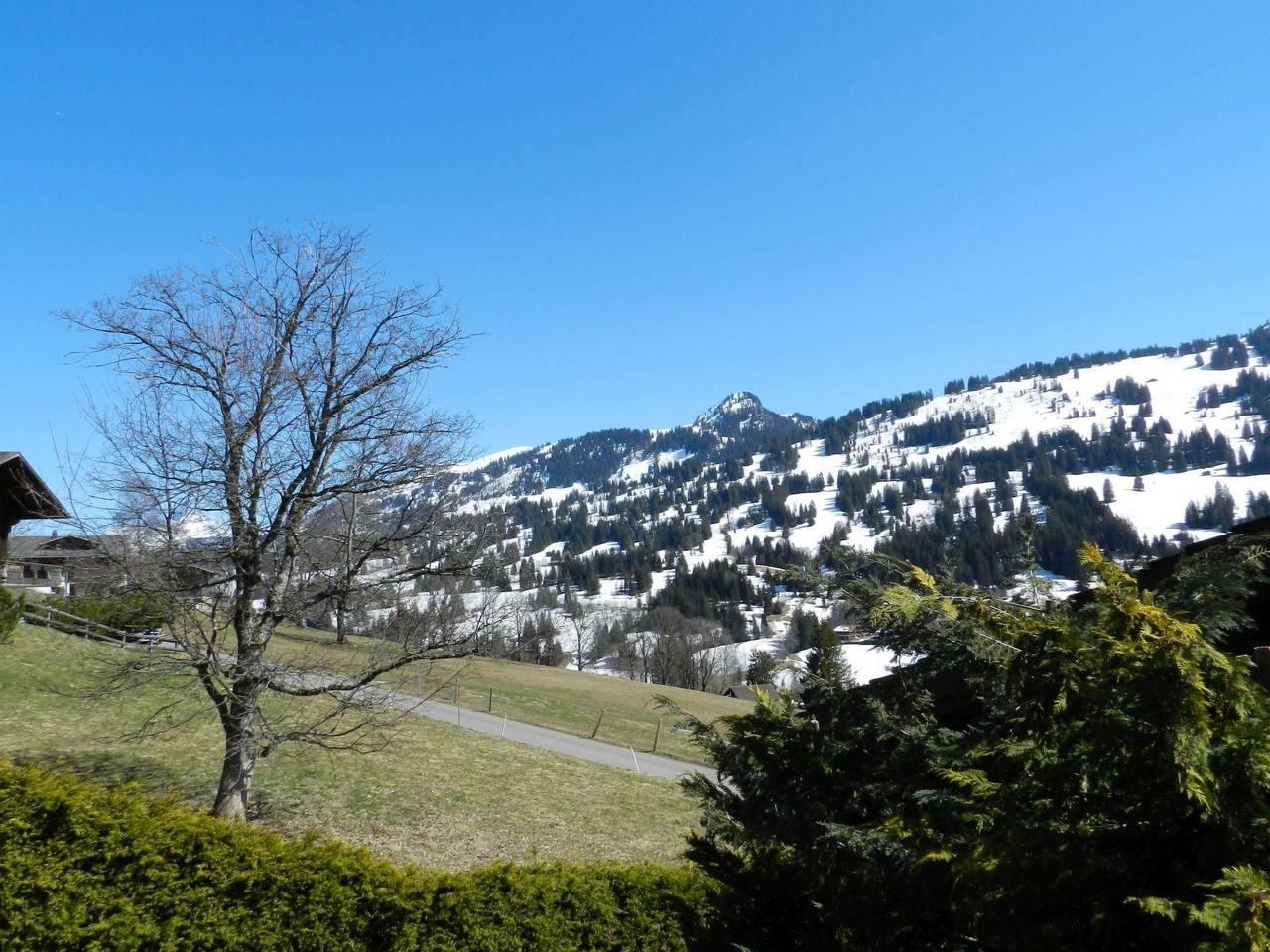Vakantieappartement in Saanen, Zwitserland voor 5 personen foto 9