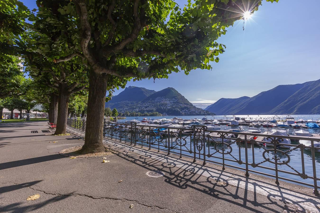 Vakantieappartement met hond toegestaan in Lugano, Luganomeer, Zwitserland voor 4 personen foto 19