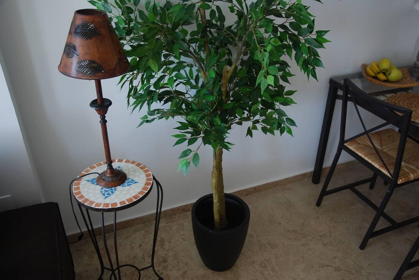 Vakantieappartement in Estepona, Spanje voor 6 personen foto 8