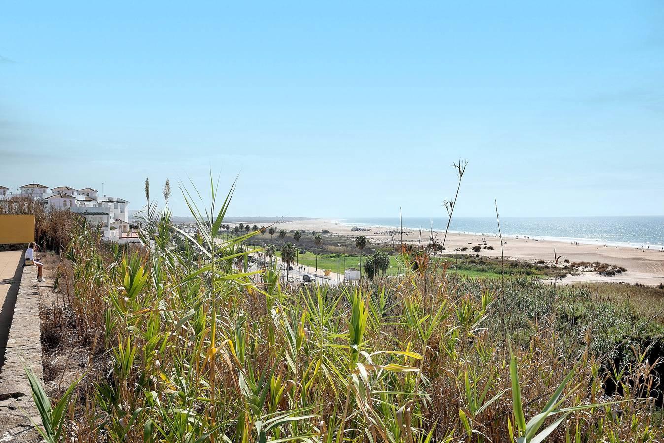 "Apartamento Atalaya" in Playa de los Bateles (Conil de la Frontera), Conil de la Frontera, Spanje voor 6 personen foto 25
