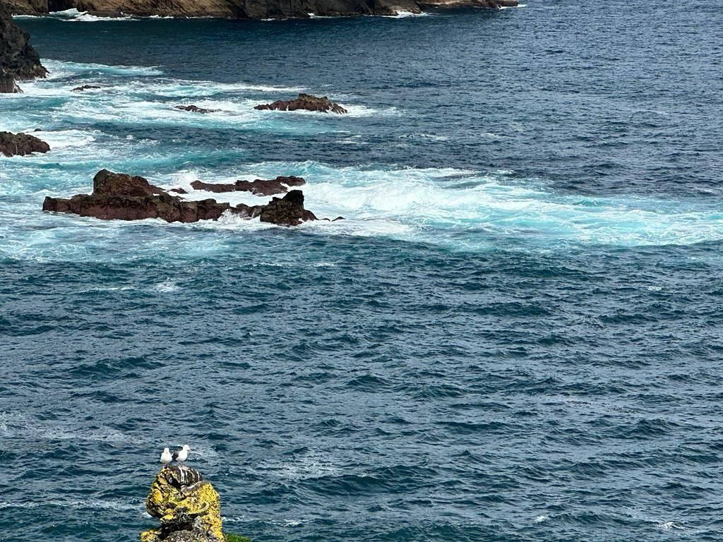 Appartement 'Capelas Pdl' vlak bij zwemzone in São Miguel Island, Capelas, Portugal voor 2 personen foto 21