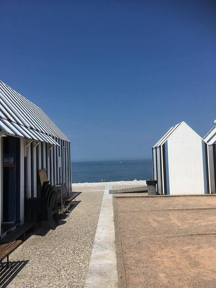 Gîtes de France® - Le Roncheray in Saint-Philibert-de-la-Lézarde, Frankrijk voor 3 personen foto 19