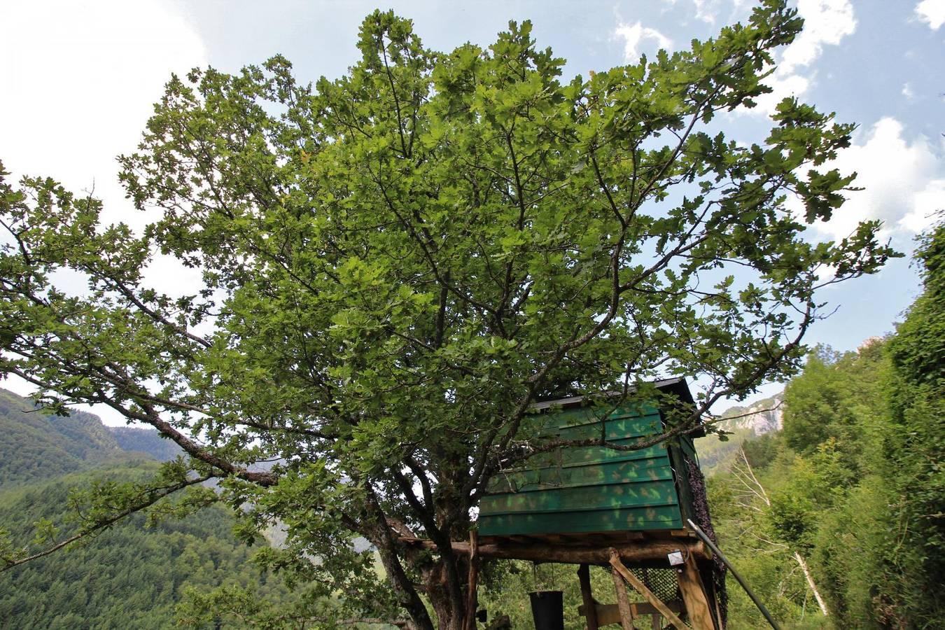 Vakantiehuis in Pyreneeën, Frankrijk voor 2 personen foto 13