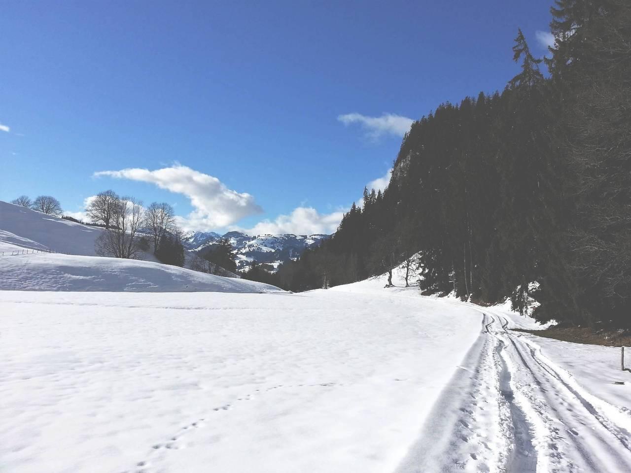 Vakantieappartement in Boltigen, Zwitserland voor 10 personen foto 17