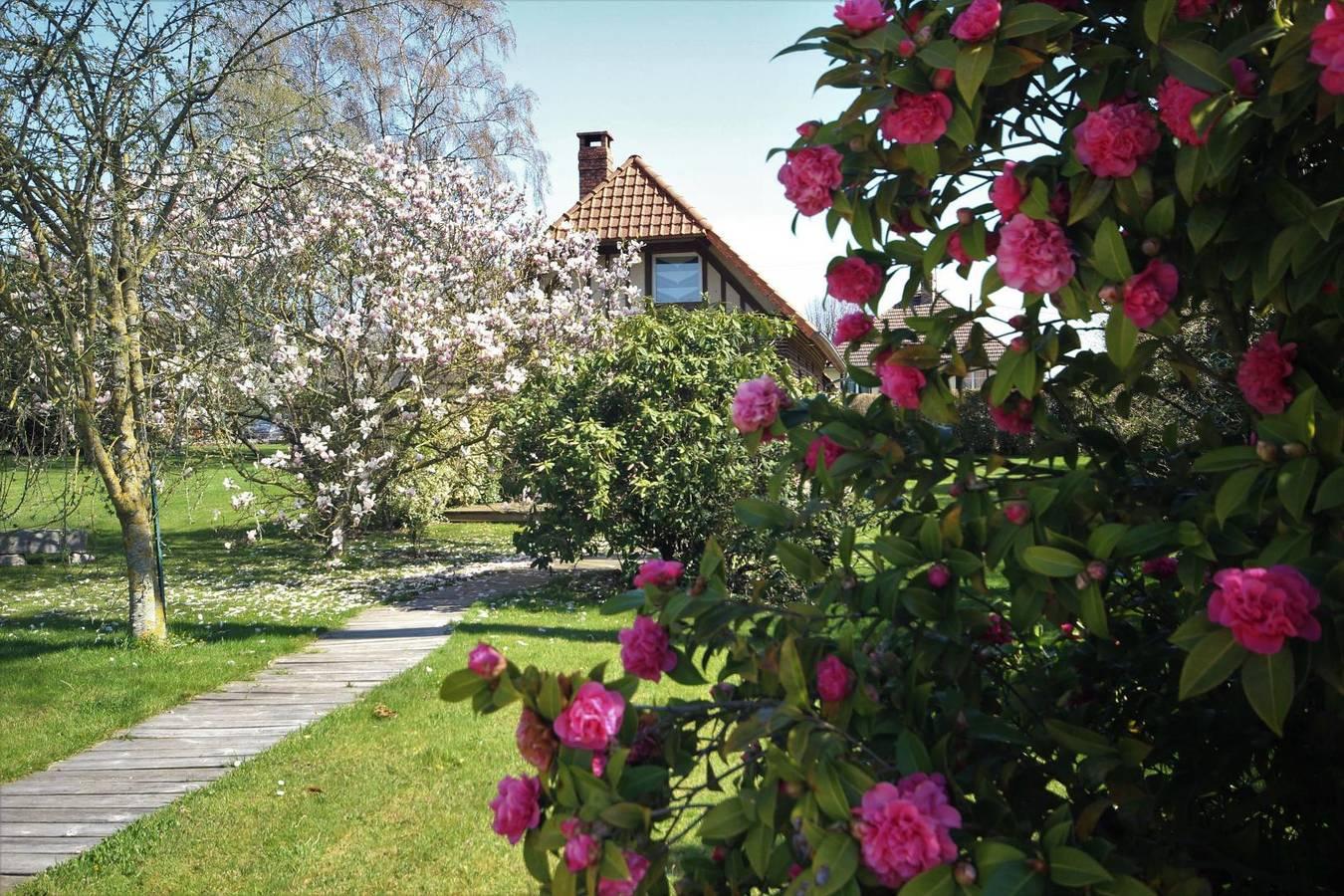 Vakantiehuis in Avremesnil, Frankrijk voor 4 personen foto 6