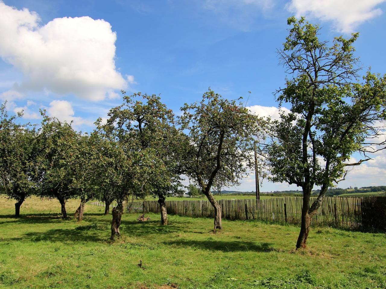 Ruime villa op het platteland in Neufchâteau, Parc naturel Haute-Sûre Forêt d'Anlier, België voor 8 personen foto 22
