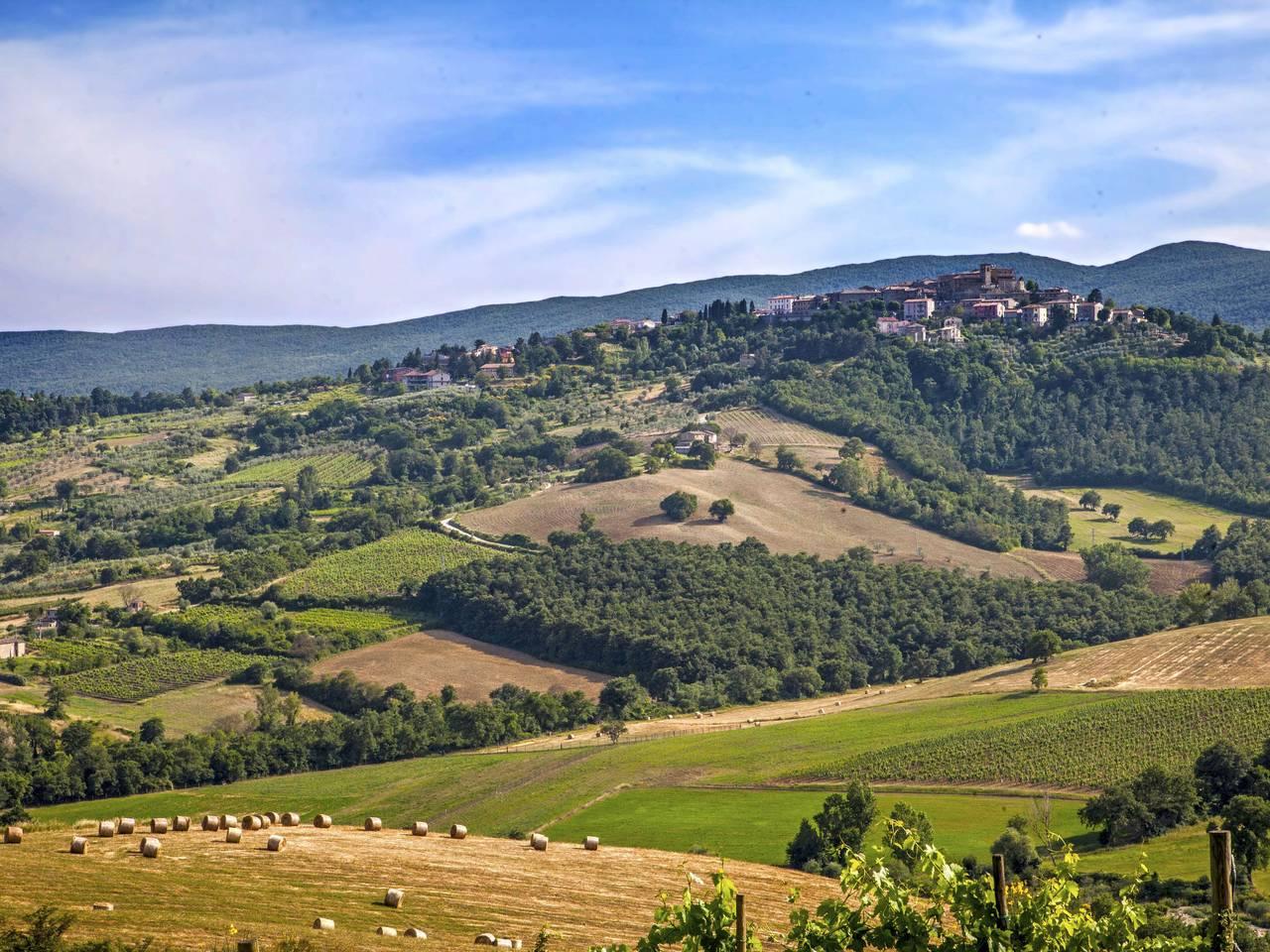 Allerona in Allerona, Parco di Monte Peglia e Selva di Meana, Italië voor 4 personen foto 23