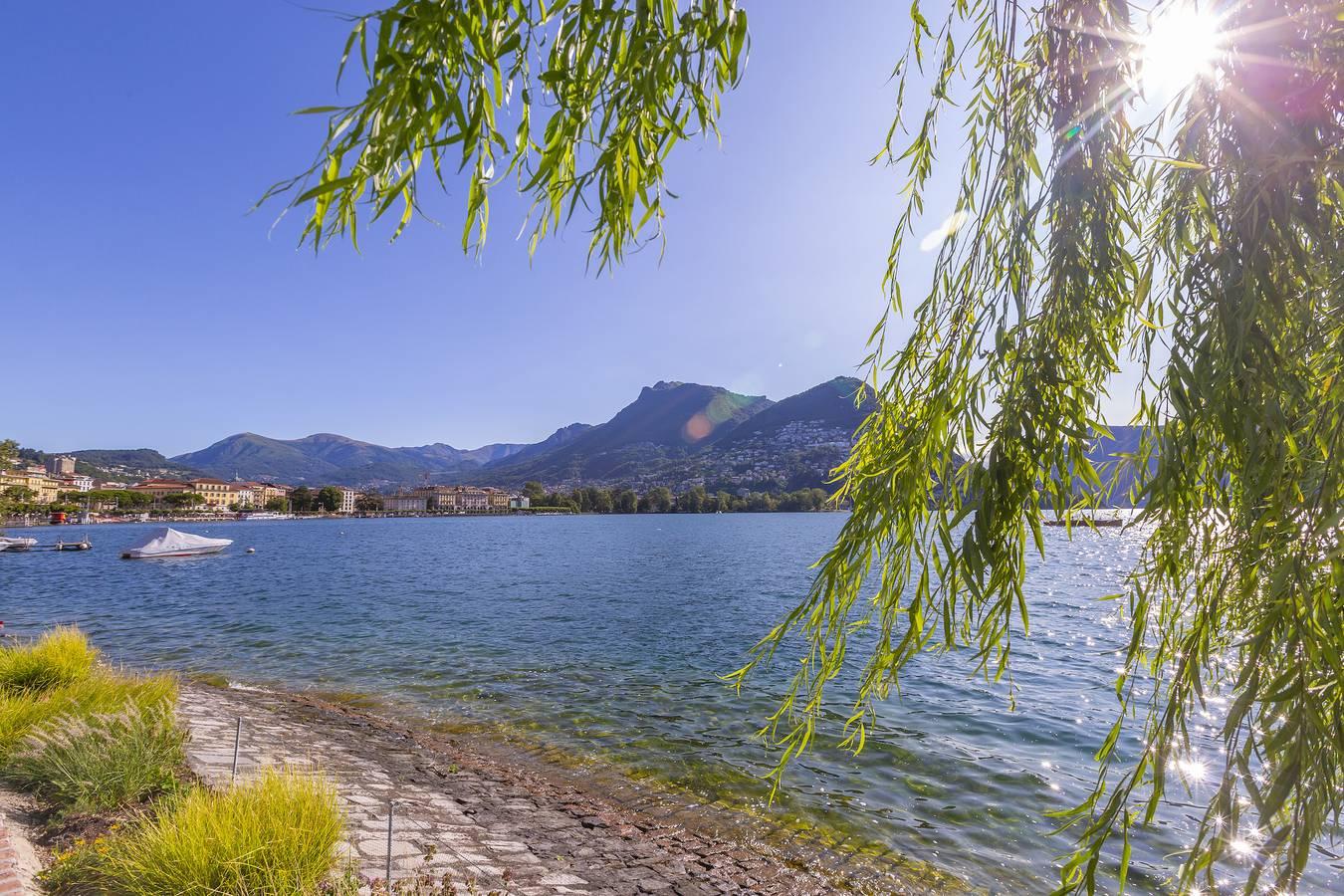 Vakantieappartement met hond toegestaan in Lugano, Luganomeer, Zwitserland voor 4 personen foto 22