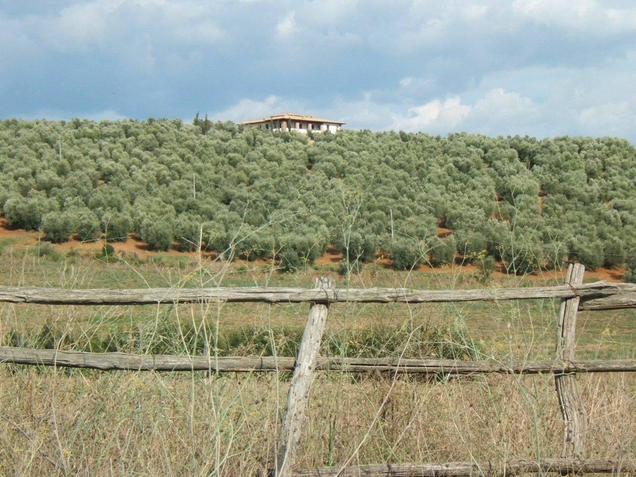 Villa Giulia Follonica in Follonica, Etruskische kust, Italië voor 6 personen foto 19