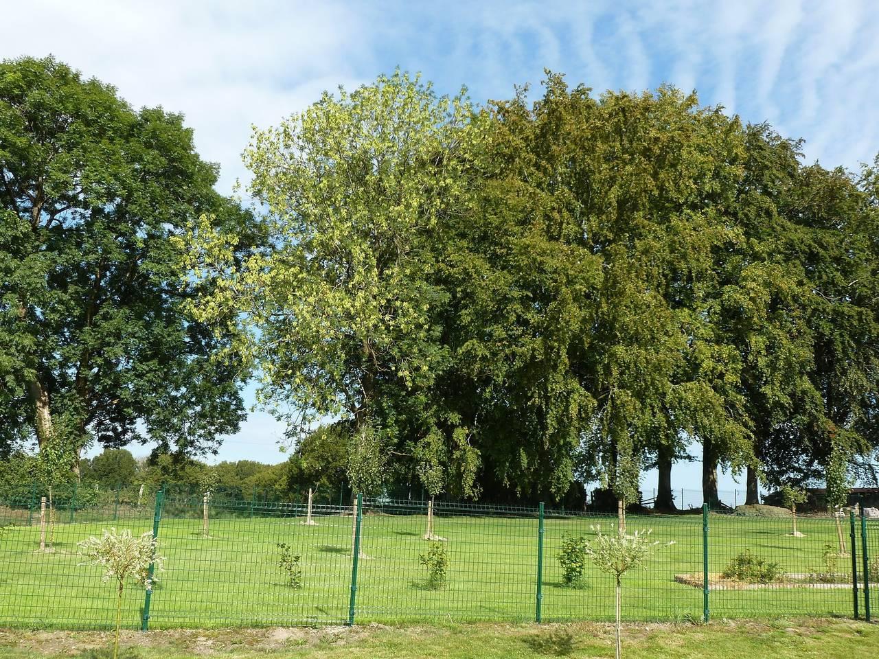Gezellig Nimbermont-huis in Nimbermont, Libramont-Chevigny, België voor 6 personen foto 20