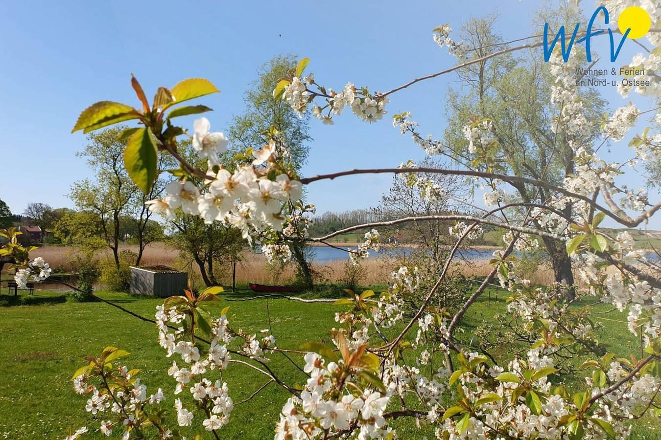 Vakantieappartement in Seedorf (Sellin), Sellin, Duitsland voor 2 personen foto 19