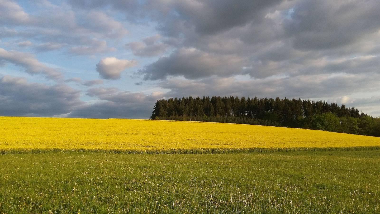Vakantieappartement in North Eifel, Duitsland voor 5 personen foto 17