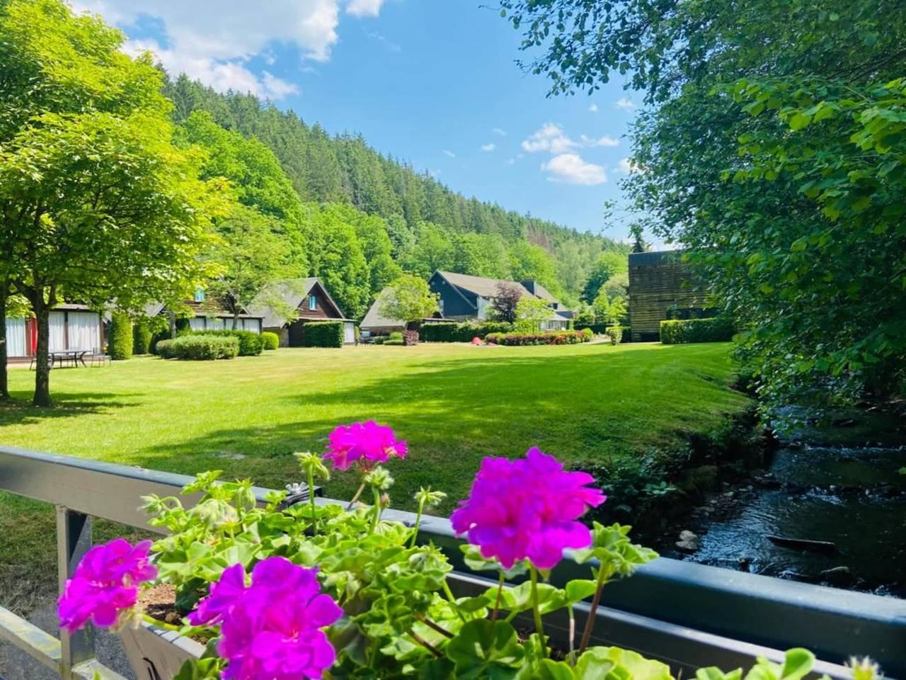 Vakantiehuisje in de Ardennen in Malmedy, Natuurgebied Hautes Fagnes, België voor 4 personen foto 14