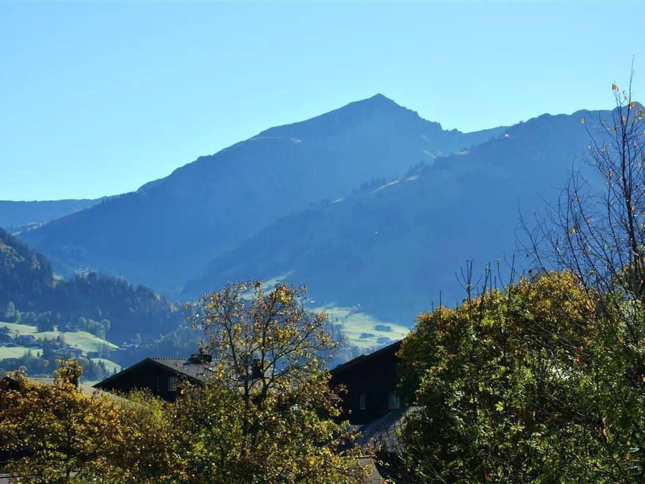 Hornflue (Baumann) in Saanenmöser, Saanen, Zwitserland voor 4 personen foto 9