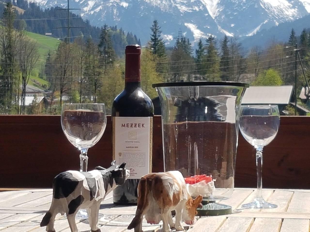 Vakantieappartement in Saanen, Zwitserland voor 4 personen foto 14